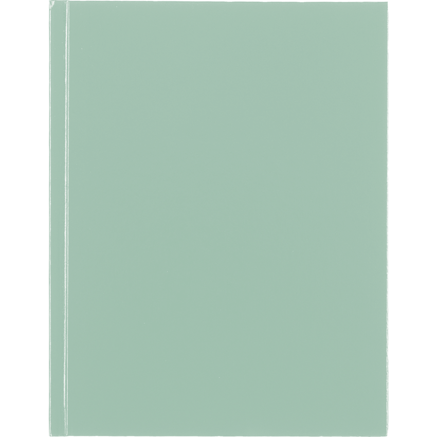 Blueline® Pastel Notebook Hard Cover 9-1/4" x 7-1/4" Sage