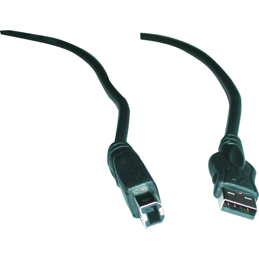 Exponent® USB 2.0 Cable 6'