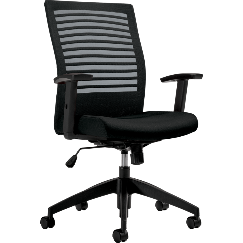 Basics® Elora™  Home Office Synchro Tilter Chair Dance