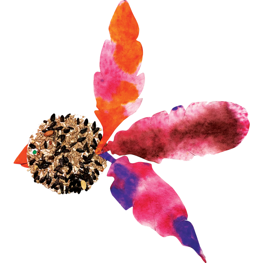 Roylco Color Diffusing Paper Feathers 80/pkg