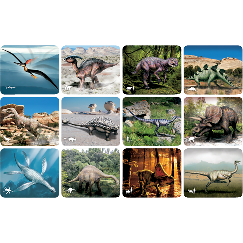 Roylco Dinosaurs X-Rays 12/pkg