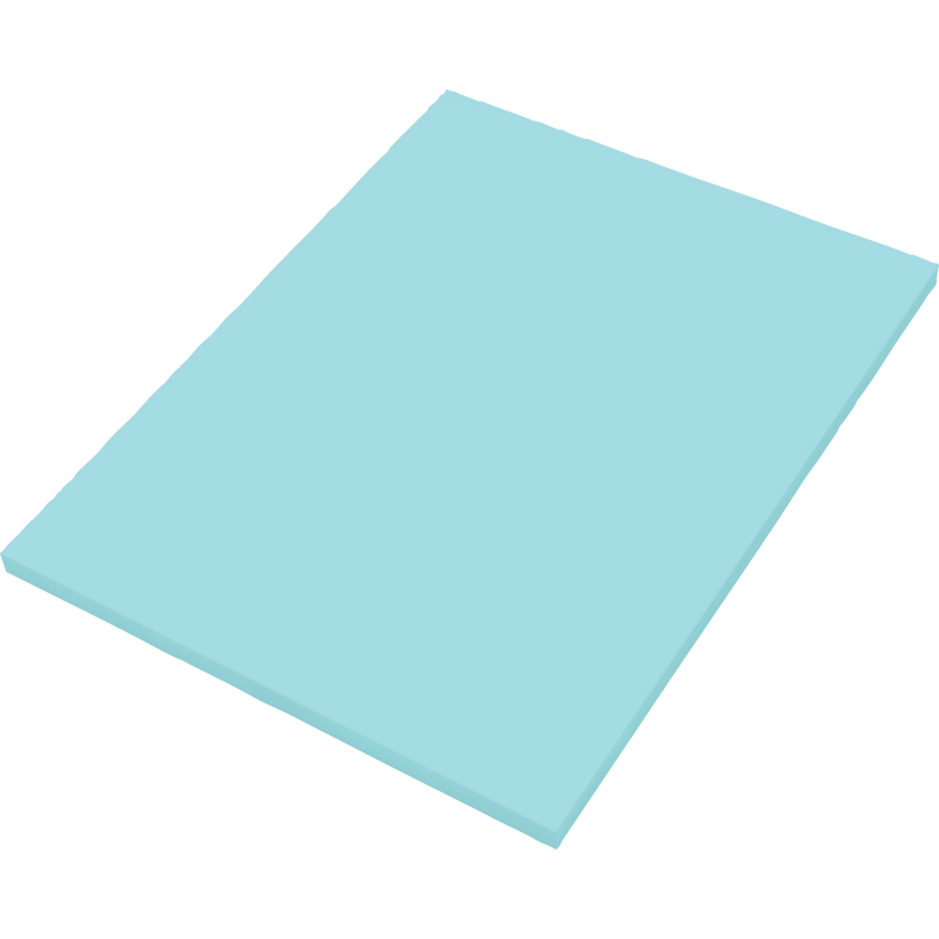 Davis Group Legal Supplies Trial Back Plain 8-1/2" x 11” Blue 50/pkg