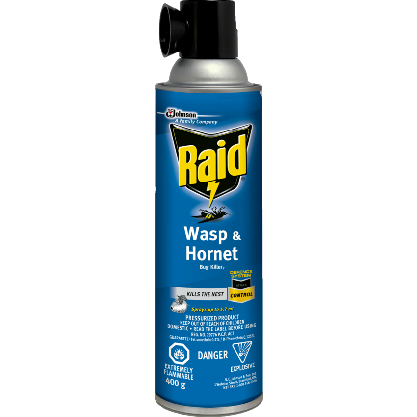 Raid® Wasp & Hornet Bug Killer 400 g