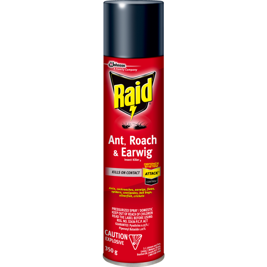 Raid® Ant, Roach And Earwig Insect Killer 350 g