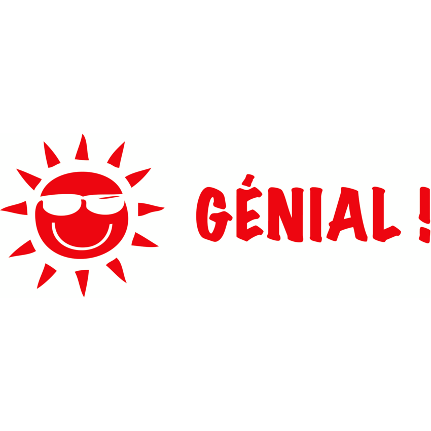 Trodat® Printy 4911 Teacher's Stamp GÉNIAL !