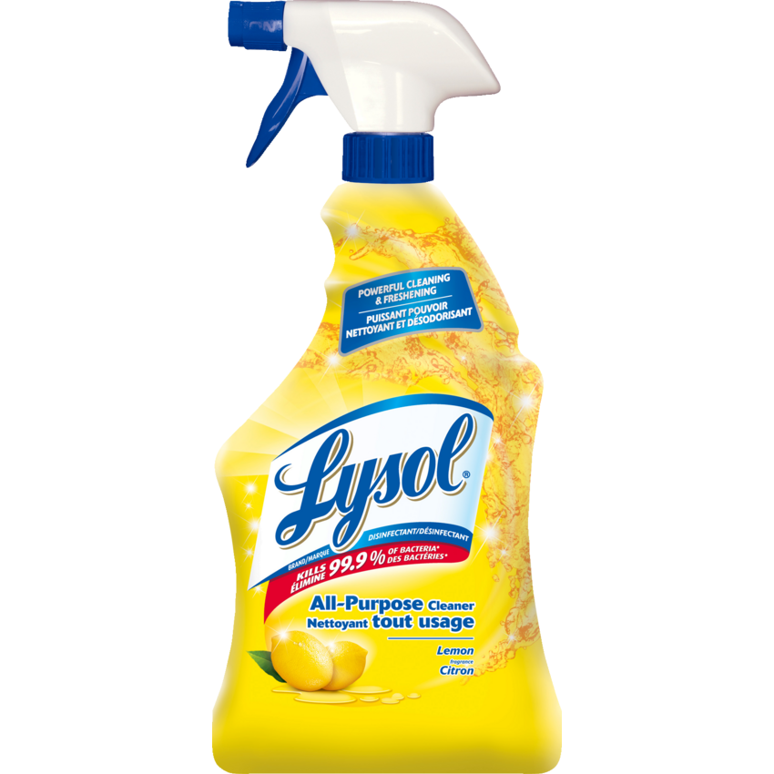 Lysol® All-Purpose Disinfectant Cleaner 650 mL